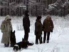 Декабрь 2001