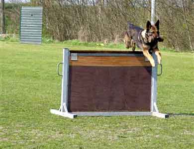 апортировка через барьер