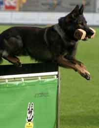 апортировка через барьер