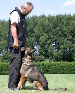 фронтальная
              посадка